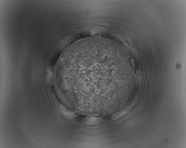 X0000093770527200711061137