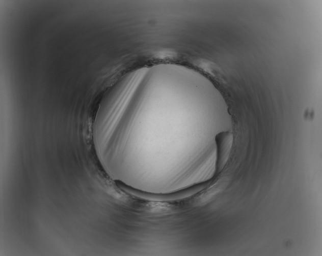 X0000093770528200711061137