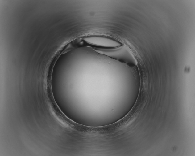 X0000093770530200711061136