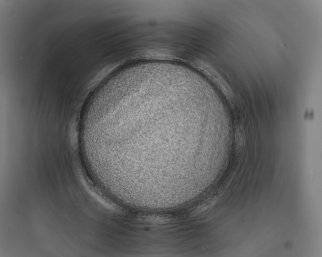 X0000093770533200711061136