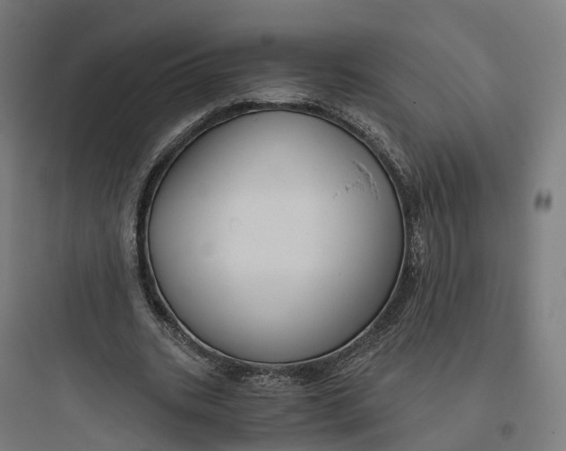 X0000093770535200711061136