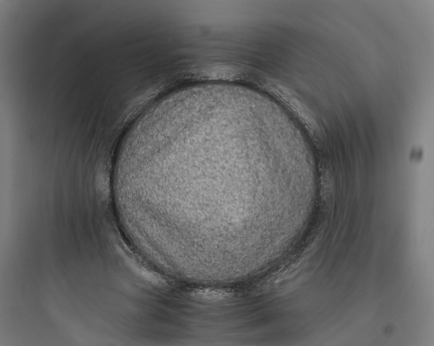 X0000093770537200711061137