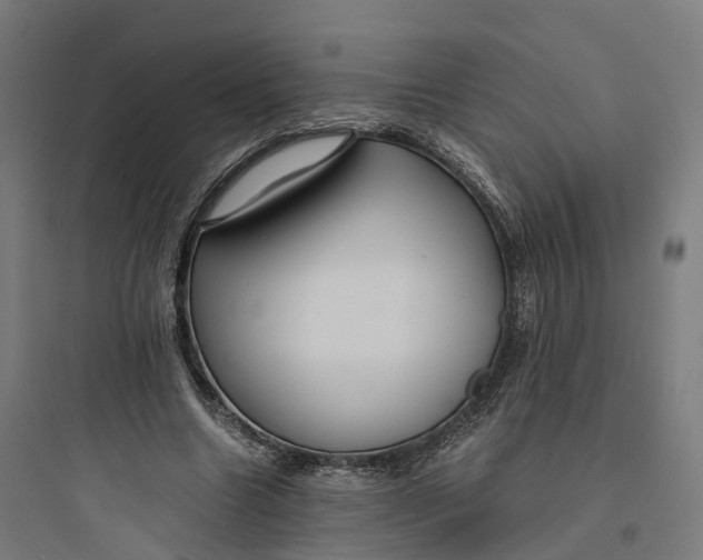 X0000093770538200711061137