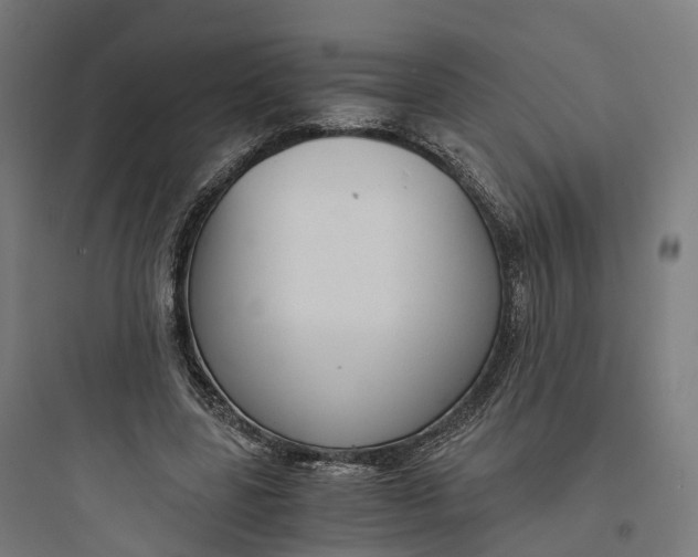 X0000093770539200711061137