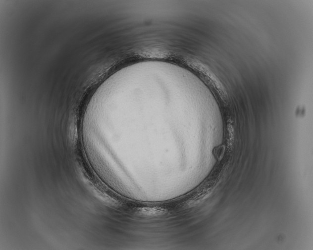 X0000093770541200711061137