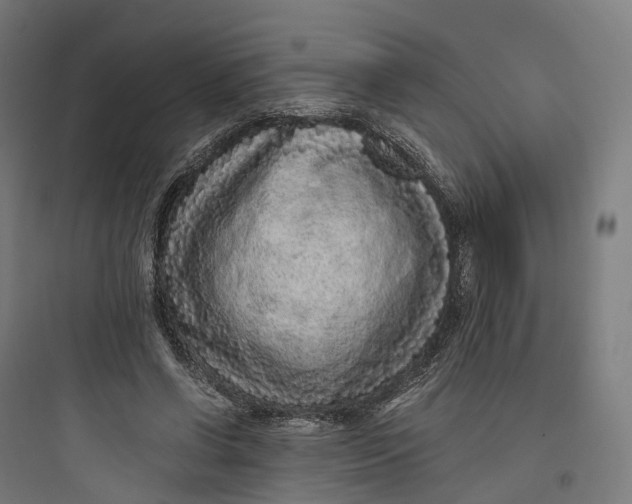 X0000093770542200711061137