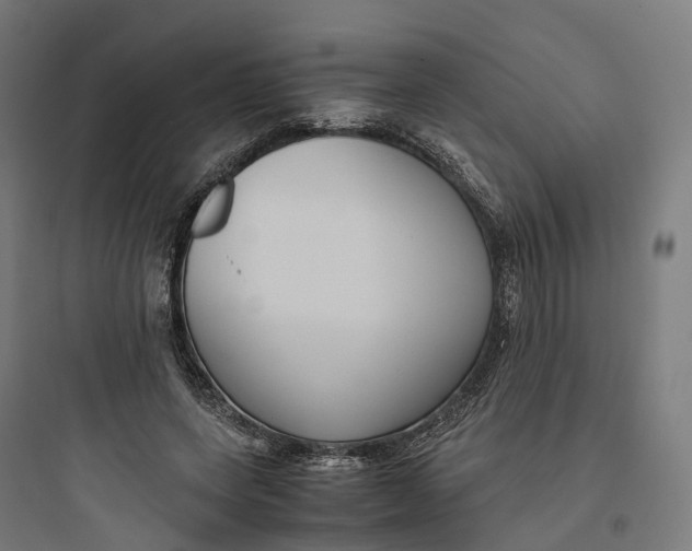 X0000093770543200711061137