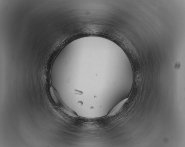 X0000093770544200711061137