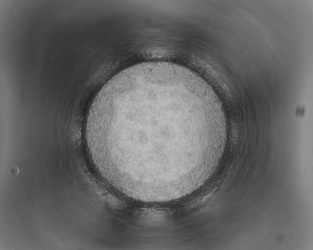 X0000093770545200711061137