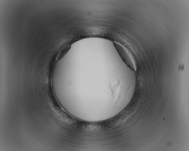 X0000093770546200711061137