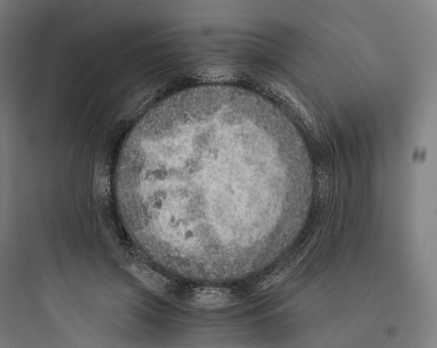 X0000093770549200711061137