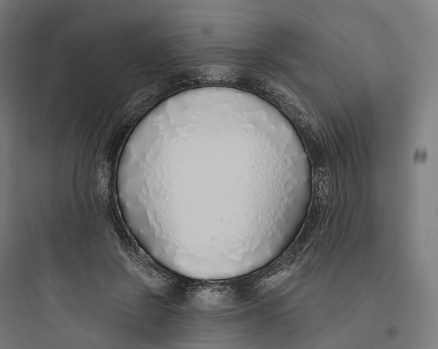 X0000093770550200711061137