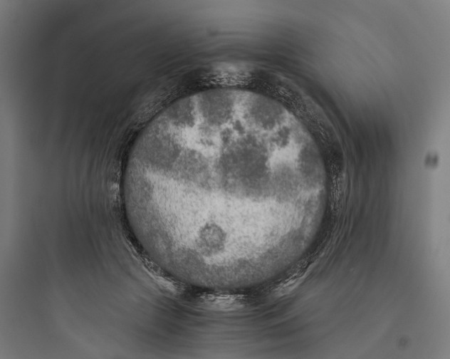 X0000093770553200711061137