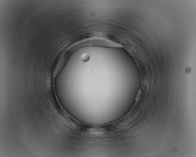 X0000093770556200711061137