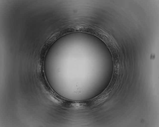 X0000093770558200711061137