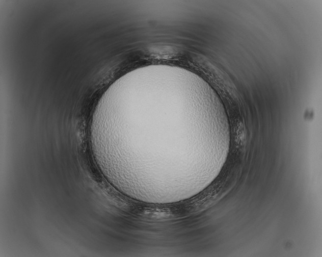 X0000093770559200711061137