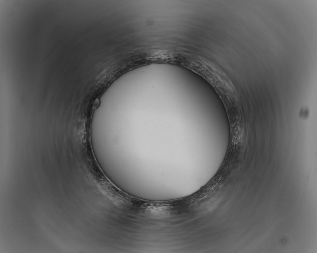 X0000093770560200711061137