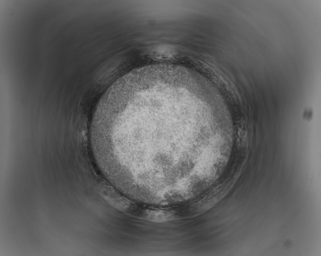 X0000093770561200711061137