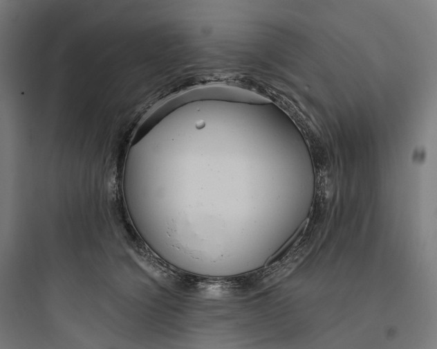 X0000093770564200711061137