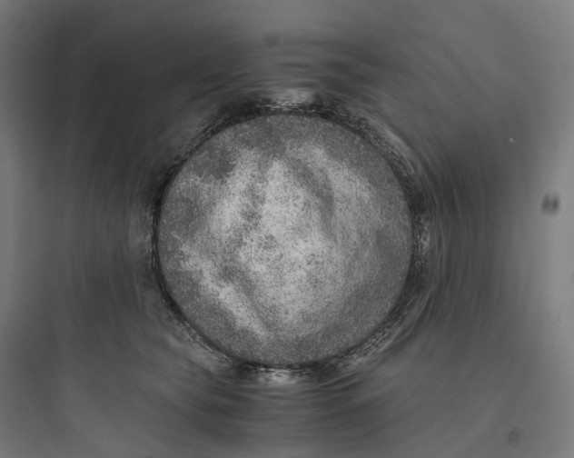 X0000093770565200711061137