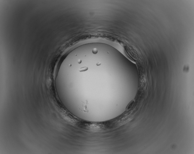 X0000093770566200711061137