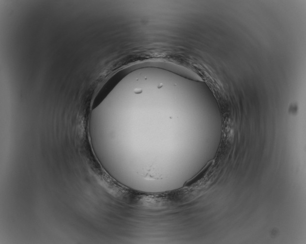 X0000093770568200711061137