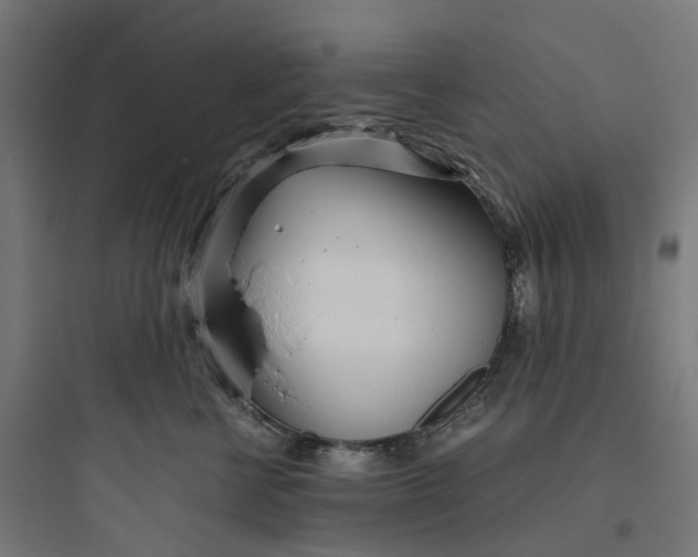 X0000093770570200711061137