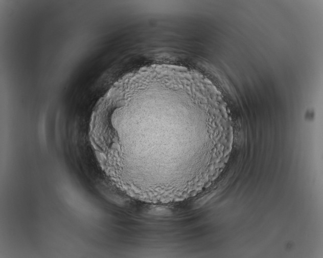 X0000093770573200711061137