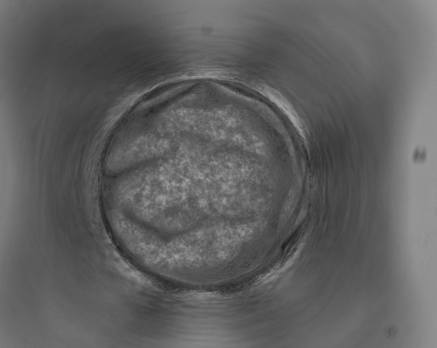 X0000093770577200711061136