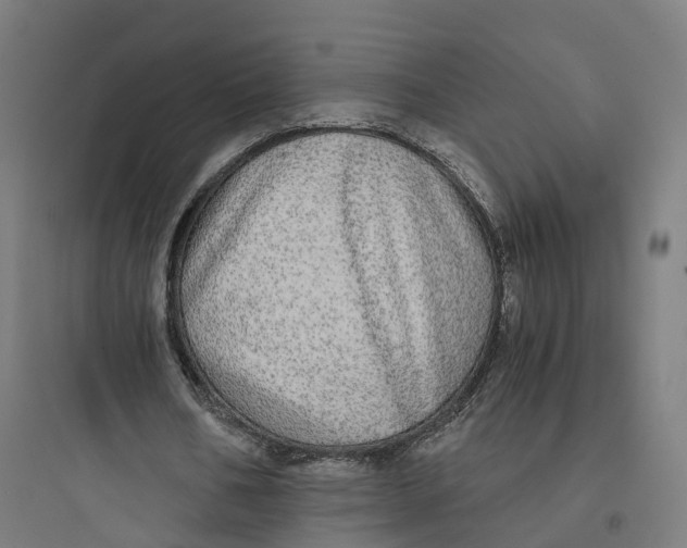 X0000093770578200711061136