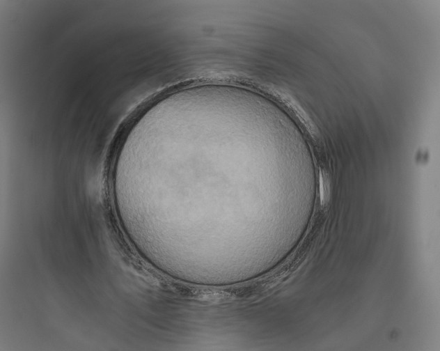 X0000093770579200711061136