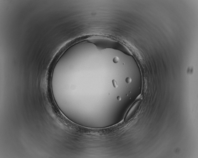 X0000093770580200711061136