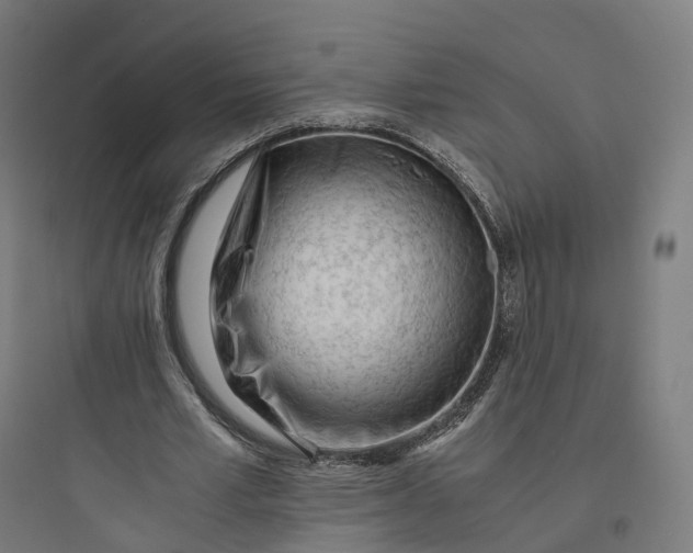 X0000093770581200711061136