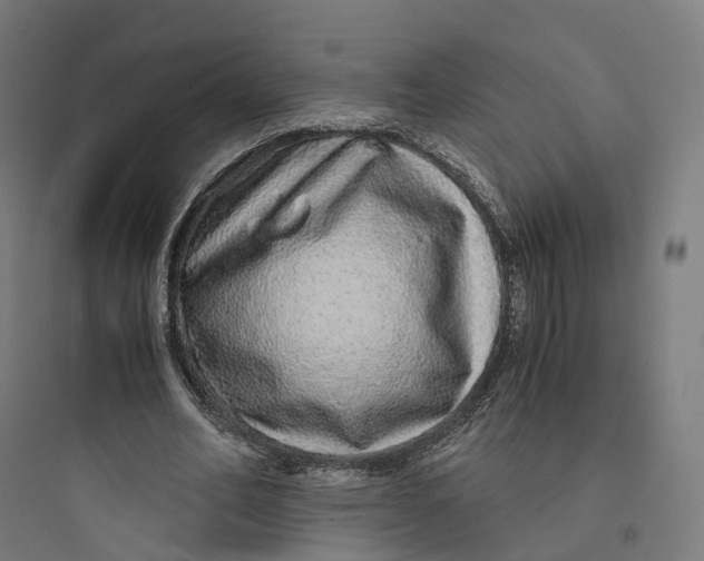 X0000093770582200711061136