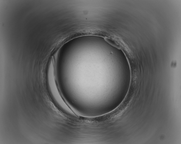 X0000093770585200711061136