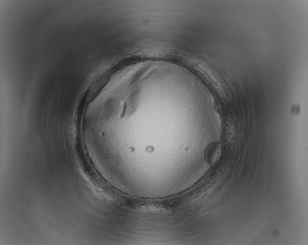 X0000093770586200711061136