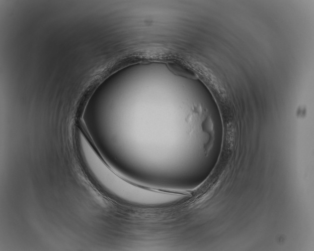 X0000093770589200711061136