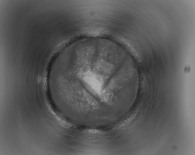 X0000093770590200711061136