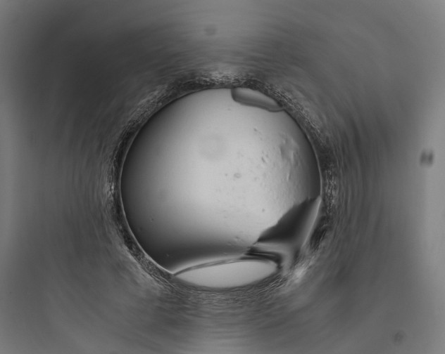 X0000093770593200711061136