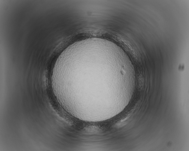 X0000093770594200711061136