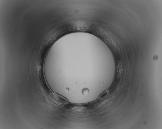 X0000093770595200711061136