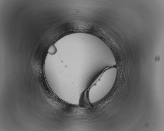 X0000093770599200711061136