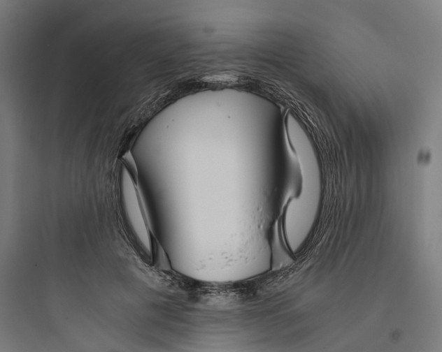 X0000093770601200711061136