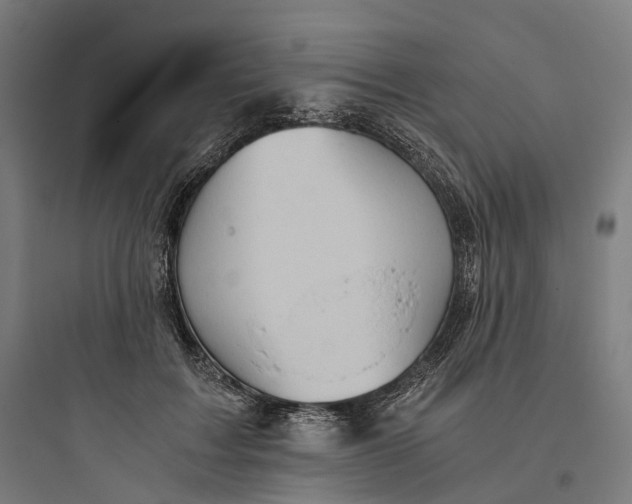 X0000093770603200711061136