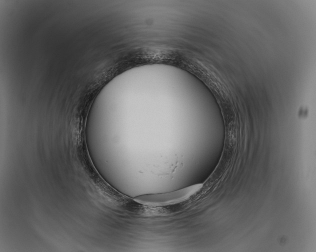 X0000093770605200711061136