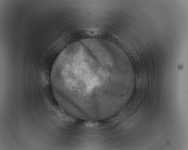 X0000093770606200711061136