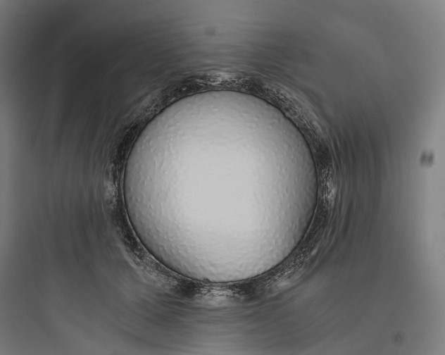 X0000093770607200711061136