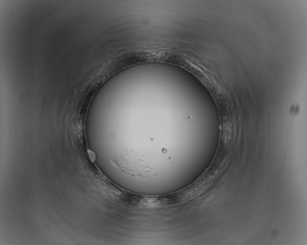 X0000093770613200711061136