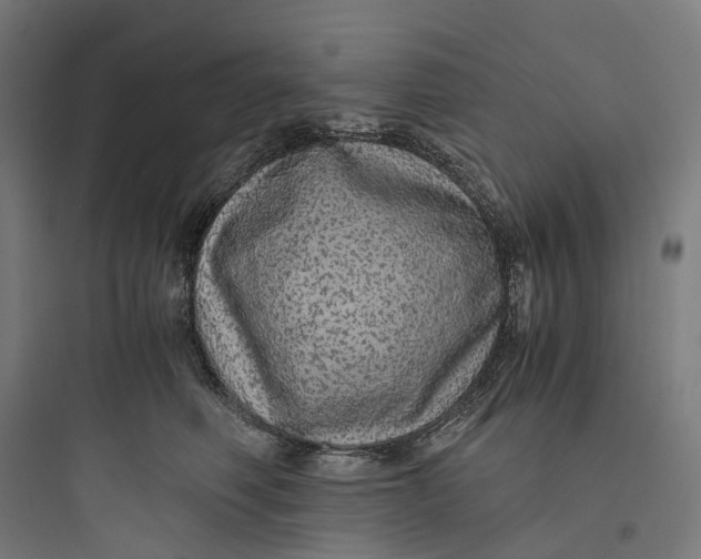 X0000093770614200711061136