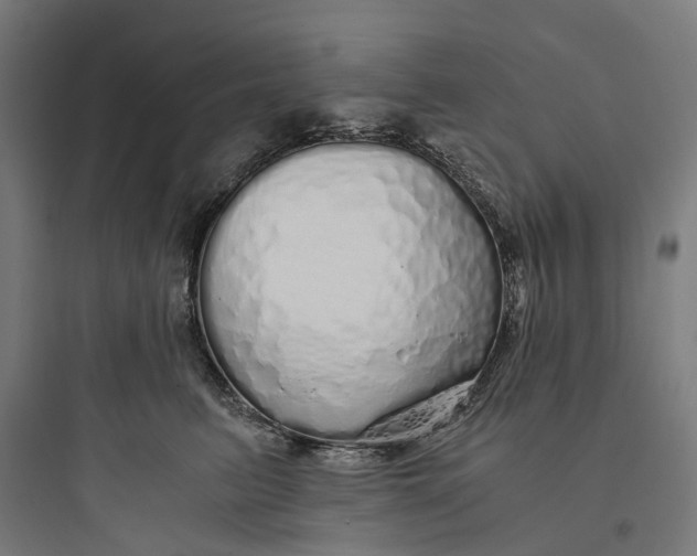 X0000093770615200711061136